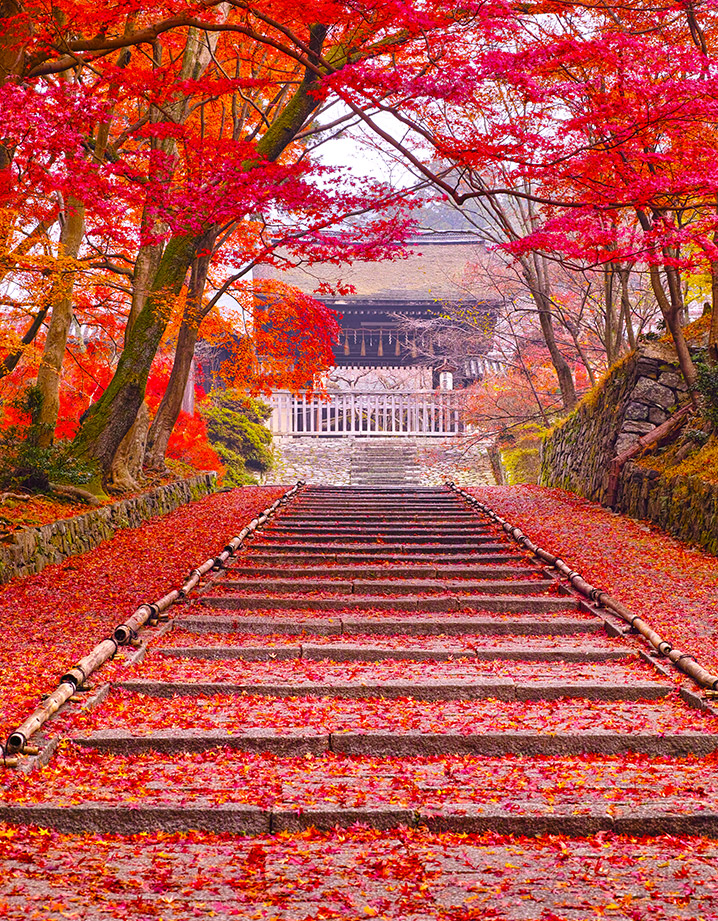 京都毘沙門堂