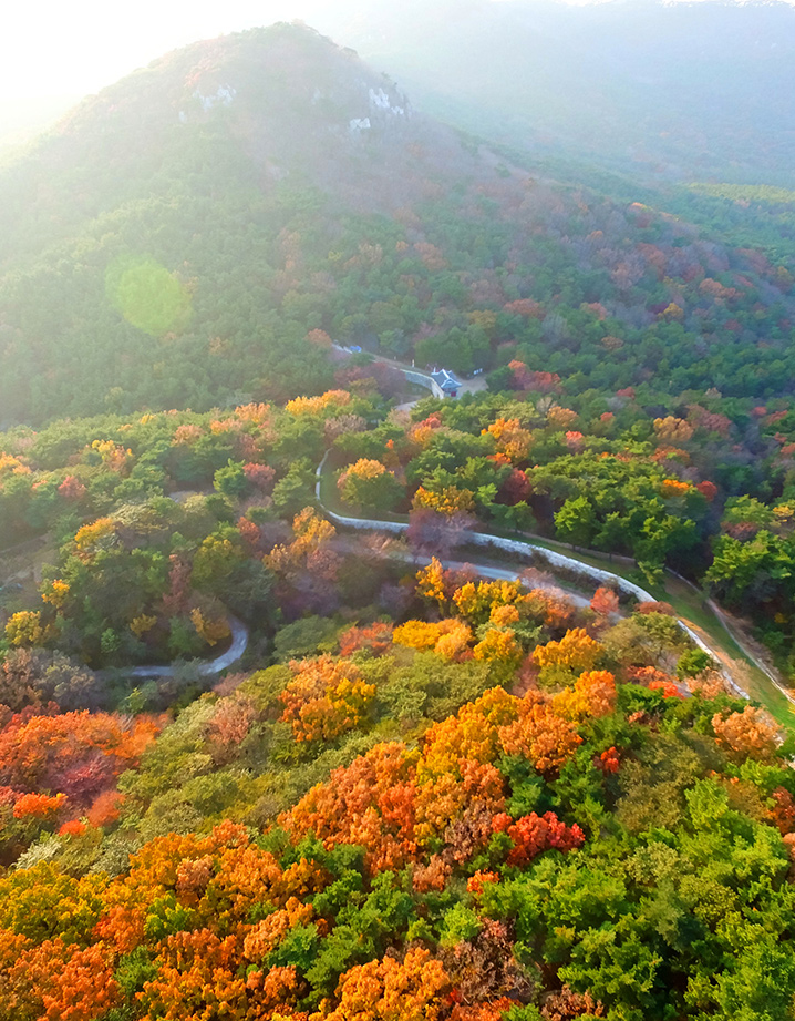金井山城&梵魚寺(釜山)