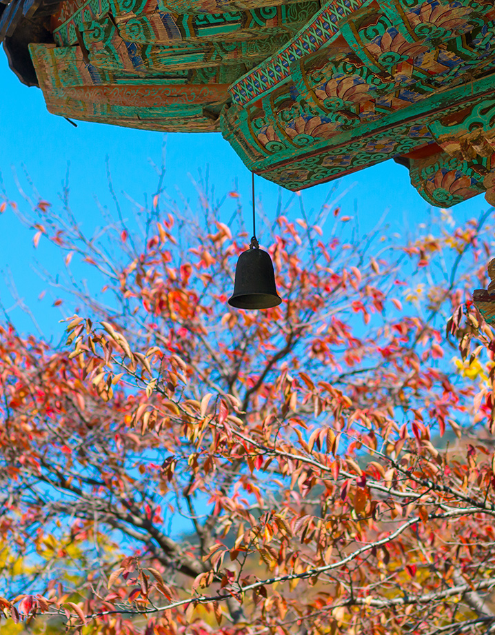 金井山城&梵魚寺(釜山)