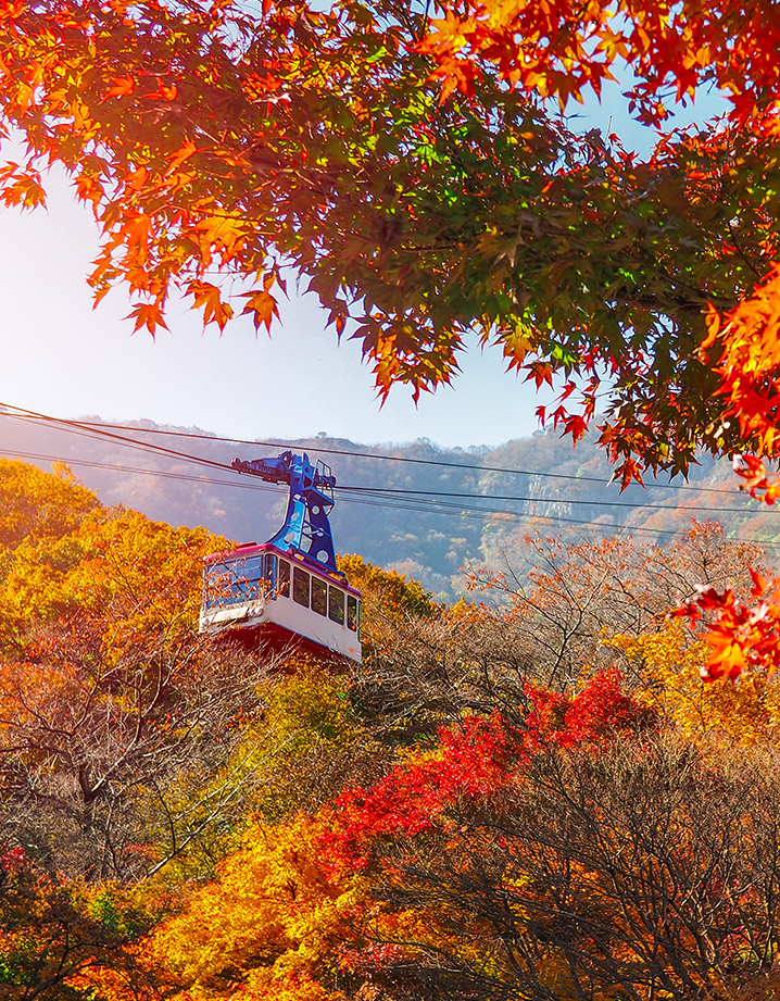 雪嶽山&南怡島(江原)