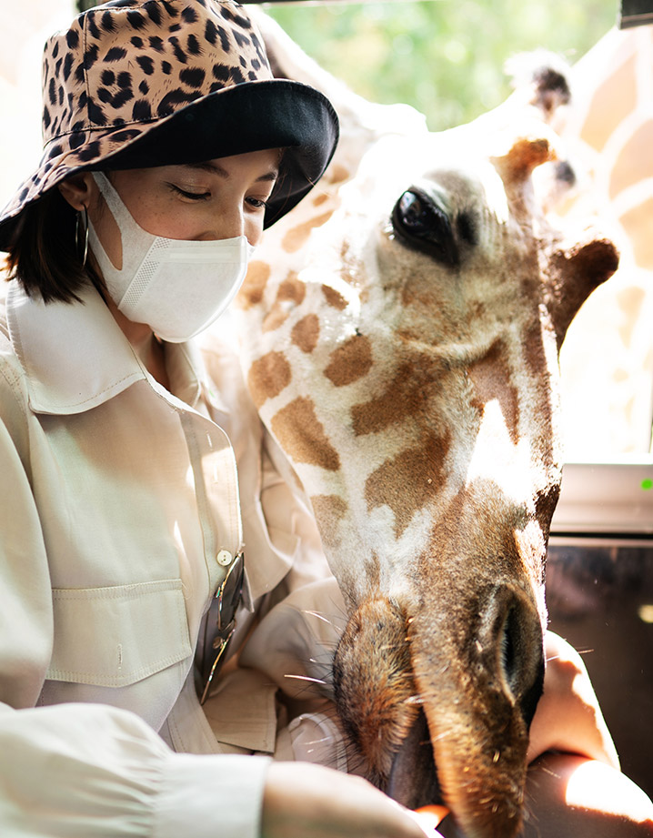北碧府動物園