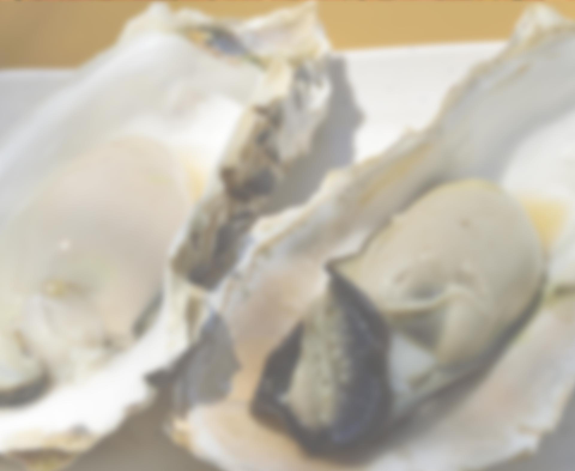 廣島牡蠣